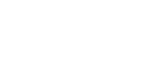 Logo Martin